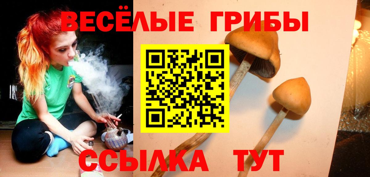 Псилоцибиновые грибы Psilocybine cubensis  закладки  Белогорск  Галлюциногенные грибы Magic Shrooms  Вход с VPN 